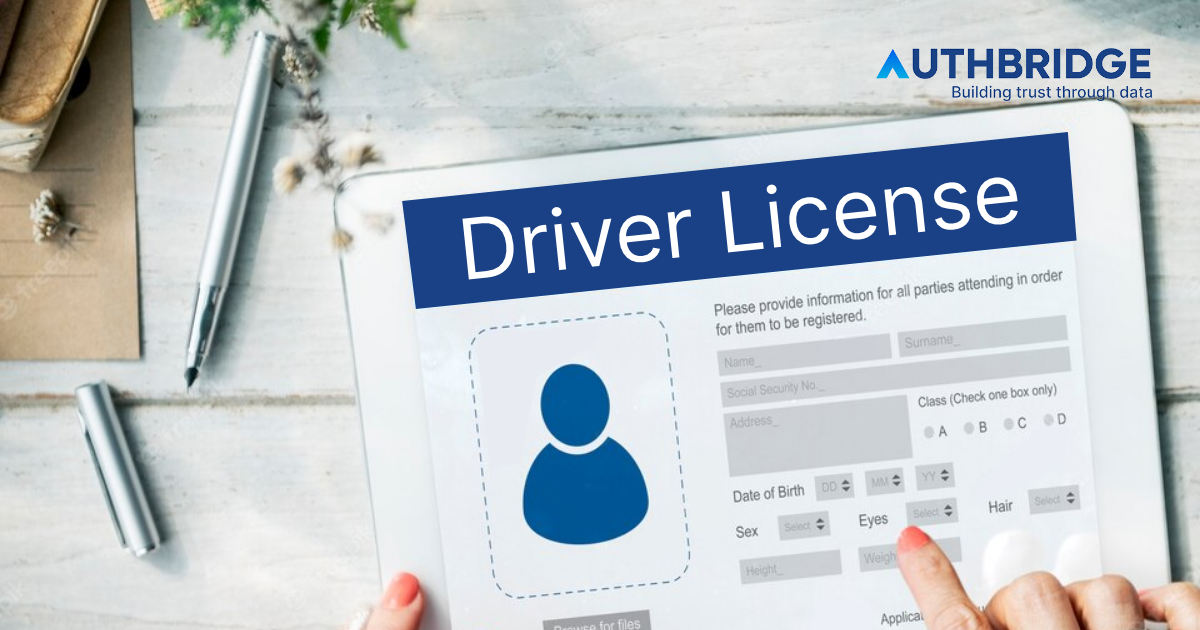 Why Is Driver License Verification Important For Businesses