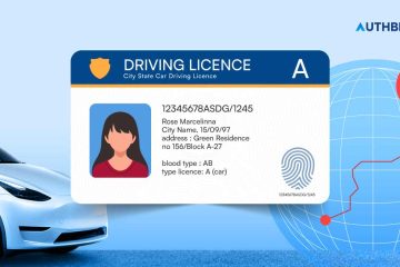 International Driving Permit/Licence